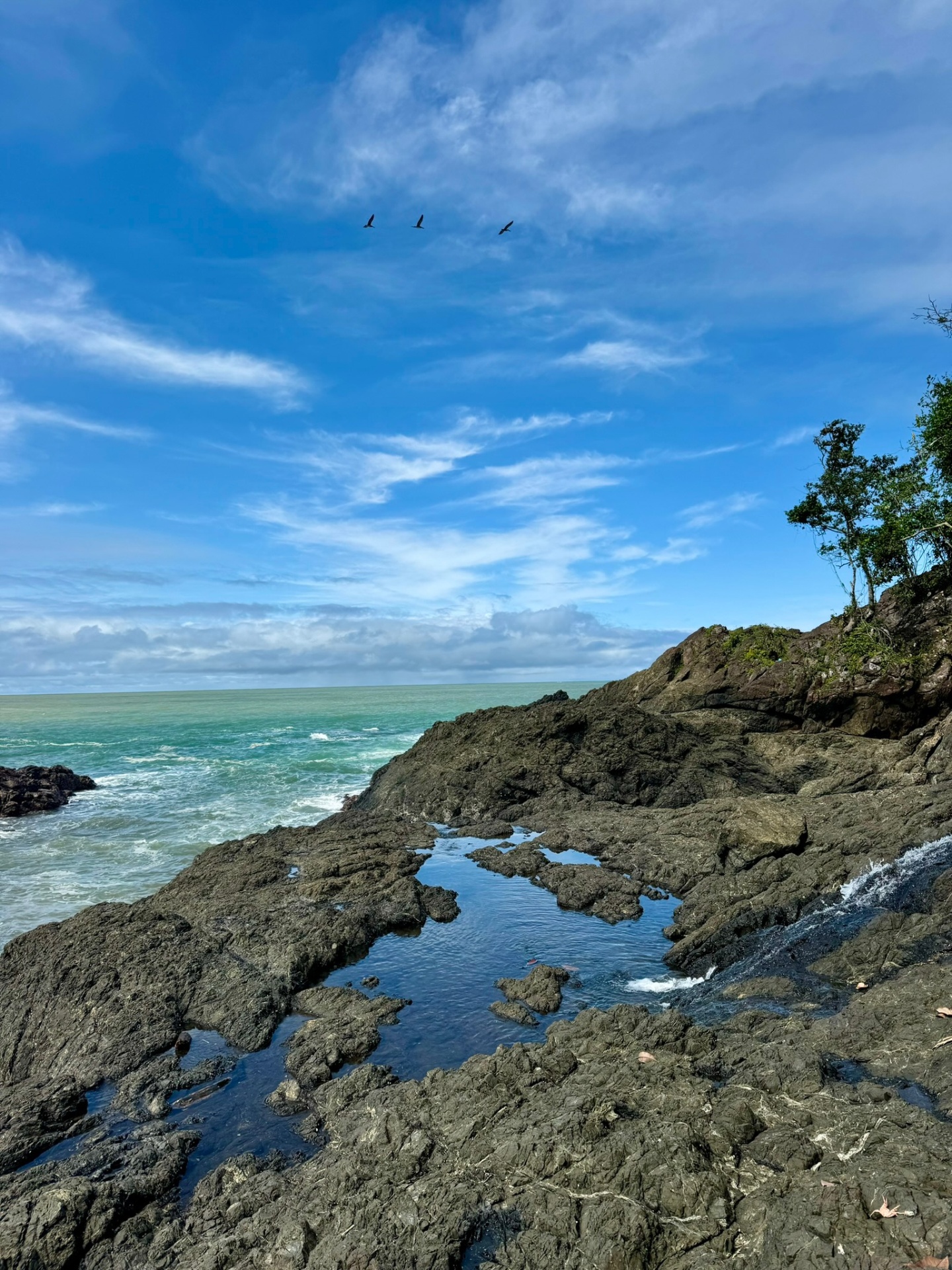 Côte Pacifique du Chocó vue depuis la mer
